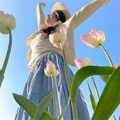 冒险兄弟第六季